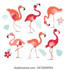 Set of pink flamingos. Exotic bird in different poses. Flamingos with beautiful pink wings. Vector illustration