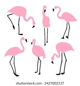 Set of pink flamingos. Exotic birds in different poses. Isolated on a white background. Vector illustration.