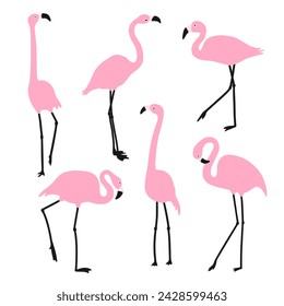 Set of pink flamingos. Exotic birds in different poses. Isolated on a white background. Vector illustration.