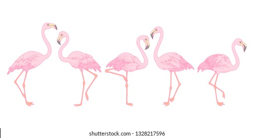 Set of pink flamingos isolated on white background. Elegant birds for your design and decoration
