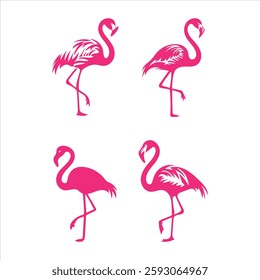 set of pink flamingos, on a white background vector vector flamingo, pink swan icon, tropical bird, summer animal set, cute zoo character isolated on white background 