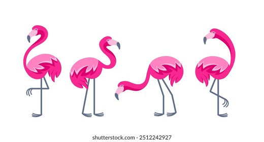 Set of pink flamingos standing in different poses, colorful illustration of exotic birds with long legs and neck, wildlife concept