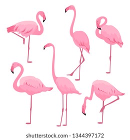 A set of pink flamingos in various poses