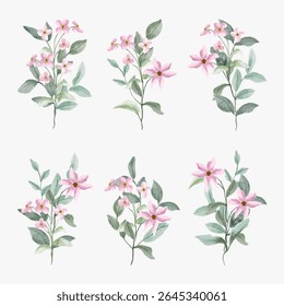 set of pink floral watercolor bouquet
