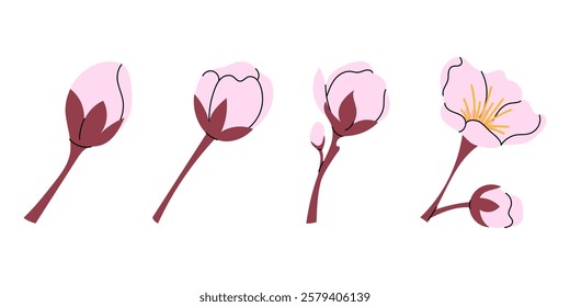 Set pink flower bud. Vector botanical element for spring festival. Blooming. Hanami. Sakura flower of Japanese tree. Flat illustration on white background.