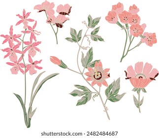 Set of pink flower and plant elements. Modern style, pastel colors