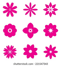 set of pink flowers