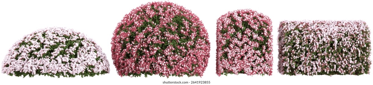 set of Pink flowers bush on transparent background