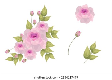 Set of pink flowers and green leaf clipart isolated