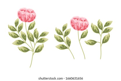 set of pink flowers, red peony, and green leaf element for wedding invitation, women's day, greeting card, flower logo, or floral icon