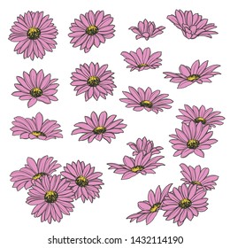 Set of pink flowers in various arrangements
