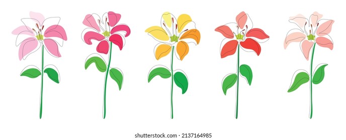 Set of pink, fuchsia, yellow, red and white lilies continuous one line isolated on a white background. vector set of single line flowers lilies with different colors. Vector illustration