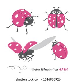 Set of pink ladybug on white background