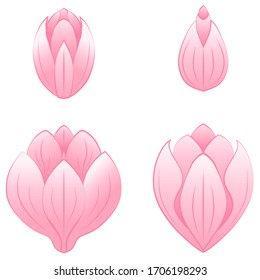 Set of pink lotus flowers, buds, a symbol of meditation and yoga.