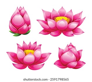 Set of pink lotus flowers in different stages, from bud to fully bloomed. Vector cartoon illustration