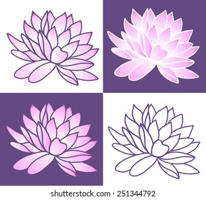 Set of Pink lotus. Vector illustration