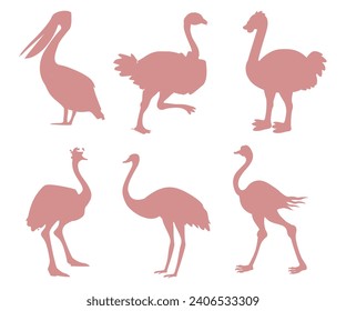 Set of pink Ostrich silhouettes isolated on white background. Vector illustration