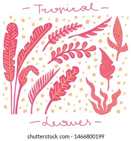 Set of pink palm, jungle leaves with yellow lines patterns. Vector tropical leaves for wallpaper, fabric, prints, cards, packaging. Tropical exotic leaves on white isolated background.