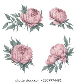 Set of Pink Peonies Flower Arrangement Watercolor Illustration.