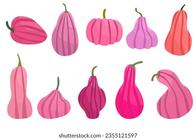  Set of pink pumpkins. Pumpkin of different shapes and colors. Thanksgiving design. Autumn pumpkin