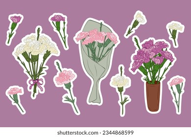 Set of pink and purple carnation flar stickers. Hand drawn isolated flowers and and bunches with white outline. Bunches of carnations in ceramic vase, in paper and with ribbon. Botanical unique design