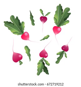 set of Pink radish icon isolated on white background