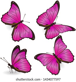 Set of pink realistic butterflies isolated on white background. Vector graphics.
