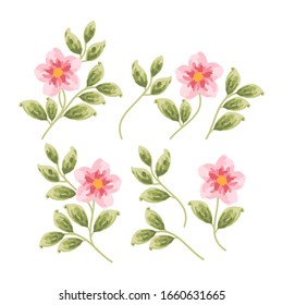 set of pink red flowers and green leaf element for wedding invitation, women's day, greeting card, flower logo, or floral icon
