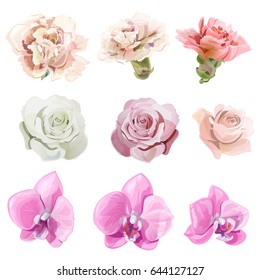 Set of pink, red, pastel color flowers and buds; rose, carnation, orchid Phalaenopsis on white background, digital draw realistic illustration in watercolor style, collection for design, vector