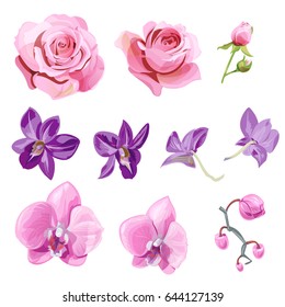 Purple Flowers Images Stock Photos Vectors Shutterstock