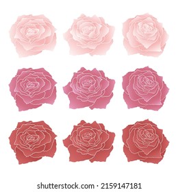 Conjunto de rosas rosadas y rojas