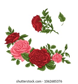 Set of pink and red roses, bouquets, flowers and buds.
