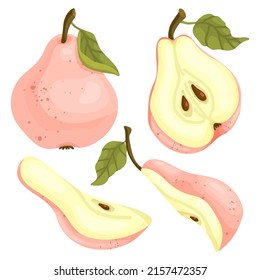 Set of pink ripe pears.Cartoon vector fruits.