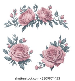 Set of Pink Rose Flower Arrangement Watercolor Illustration.