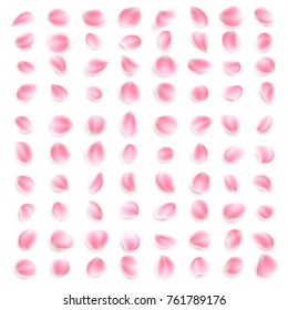 Set of pink rose petals close-up on white background. Romantic greetings object. And also includes EPS 10 vector