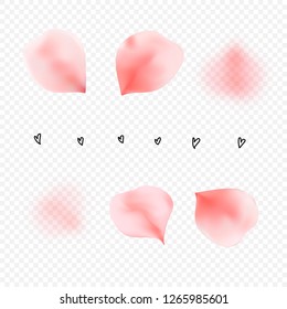Set of pink rose petals on a transparent background for the design of romantic greetings. Vector editable elements to the day of the holy Valentine.