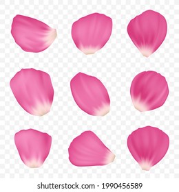 Set of pink rose petals. Template is isolated on a transparent background. Vector illustration.