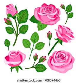Set of pink roses