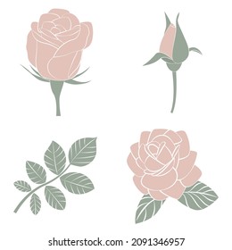 Set of pink roses isolated on white background. Rose icon collection.