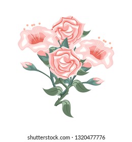 Set of pink roses and tulips. Flower arrangement