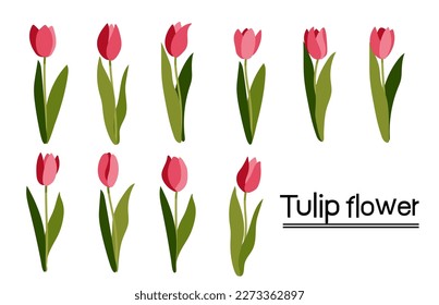 Set of pink tulips background.Eps 10 vector