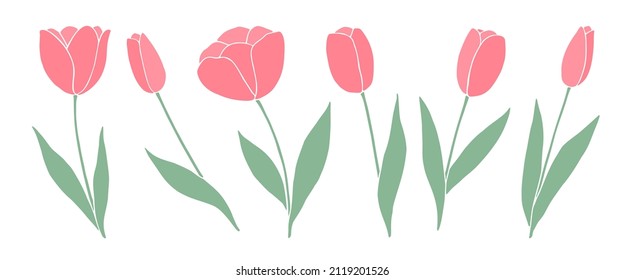 Set of pink tulips isolated on white