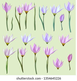 Set of pink vector flowers on a white background for the compilation of ornaments, bouquets, decoration of invitations, cards and greetings. Crocus, Arabis
