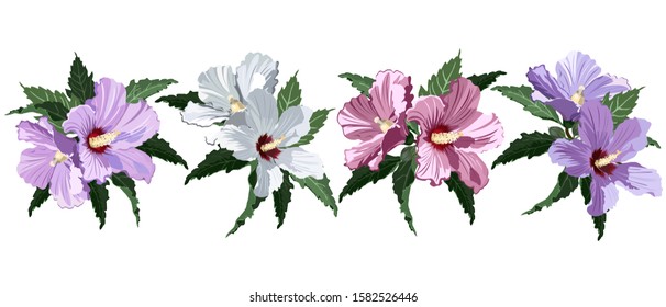 Set of pink, white and lilac hibiscus flowers, vector illustration on white background, imitation of watercolor painting.