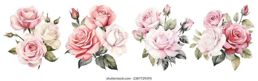 Set of Pink White Roses Vintage Flowers Watercolor Vector Illustration