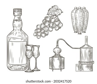 Set of Pisco. Peru of traditional alcohol drink. Bottle, glass, alembic, grape, jug. Vintage engraved style Vector illustration