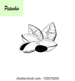 Set of pistachio. Hand drawn collection 