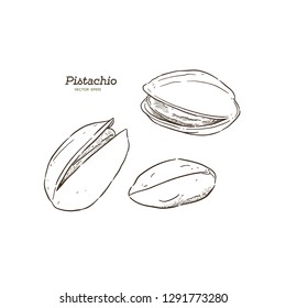 Set of pistachio nuts, sketch style vector illustration