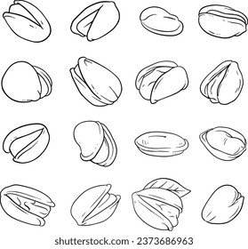 Set of Pistachios, Hazelnuts, Pistachios. illustration, line vector set  