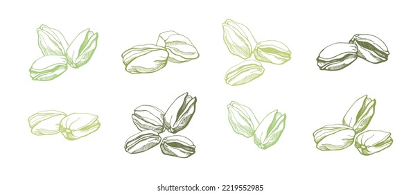 Set of  pistachios on white background. Hand drawn vector illustration.